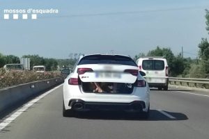 audi rs 4 with kids in the trunk