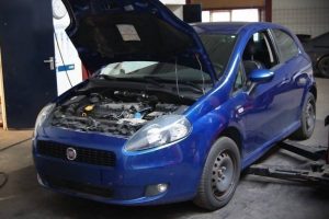 fiat punto service