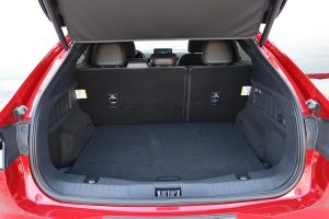 Ford Mustang Mach-E (26)