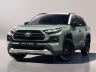Toyota-RAV4-ADVENTURE-(1)