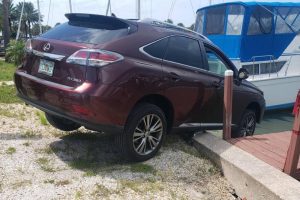 drunk driver leaves lexus hanging (2)