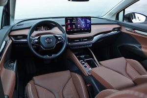 Skoda Enyaq iV 60 (30)