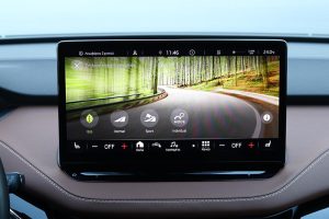 Skoda Enyaq iV 60 (41)