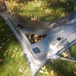 nuts in chevy avalanche's engine bay (1)