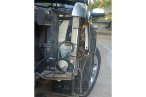 nuts in chevy avalanche’s engine bay (3)