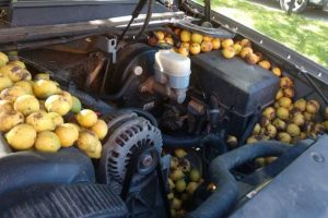 nuts in chevy avalanche’s engine bay (4)