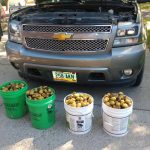 nuts in chevy avalanche's engine bay (6)