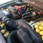 nuts in chevy avalanche's engine bay (7)
