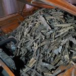 1970-dodge-challenger-parked-for-35-years-is-a-rat (2)