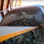 1970-dodge-challenger-parked-for-35-years-is-a-rat (3)