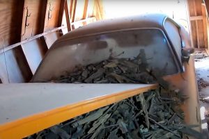 1970-dodge-challenger-parked-for-35-years-is-a-rat (3)