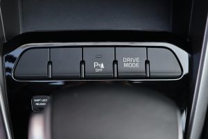 Kia Rio 1.0 T-GDi 120 PS DCT7 (45)