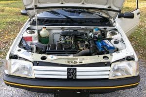 Peugeot-205-1990-(10)