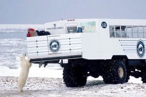 Tundra-Buggy2