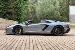 Lamborghini-Aventador-19-S-Roadster-(6)