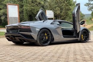Lamborghini-Aventador-19-S-Roadster-(7)
