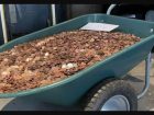cart full of change
