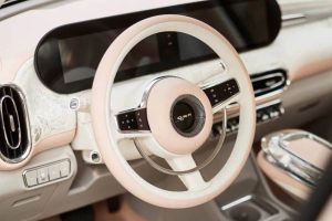 ora ballet cat production car (2)