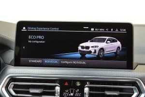 BMW X4 xDrive 30 (31)