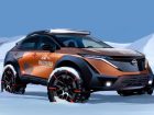 Nissan Ariya Pole