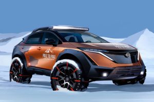 Nissan Ariya Pole