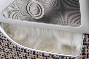 mercedes-maybach-haute-voiture-concept-al-design-e (14)