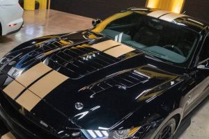 shelby gt500-h08
