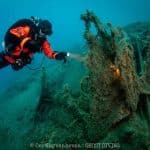 Hyundai-Healthy-Seas-(1)