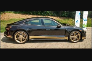 PorscheTaycanBird.jpg2