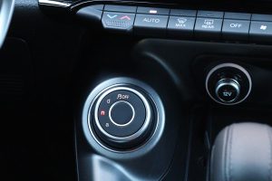 Alfa Romeo Tonale 1.5 130 PS (30)