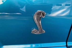 Ford_Mustang_SVT_Cobra_1993_for_sale (10)