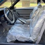 ford mustang zelatines