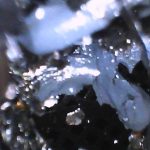 296788102_10166550796425542_1623704752293101327_n