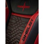 shelby-gt500-code-red-limited-production-edition (16)