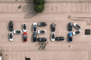 tesla owners hunger strike