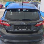 Ford-Fiesta-2022-CarCenter-(6)