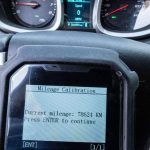 gyrismena xiliometra kainoyrgia