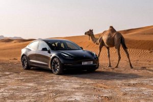 tesla-shares-pictures-of-extreme-heat-and-durabili (1)