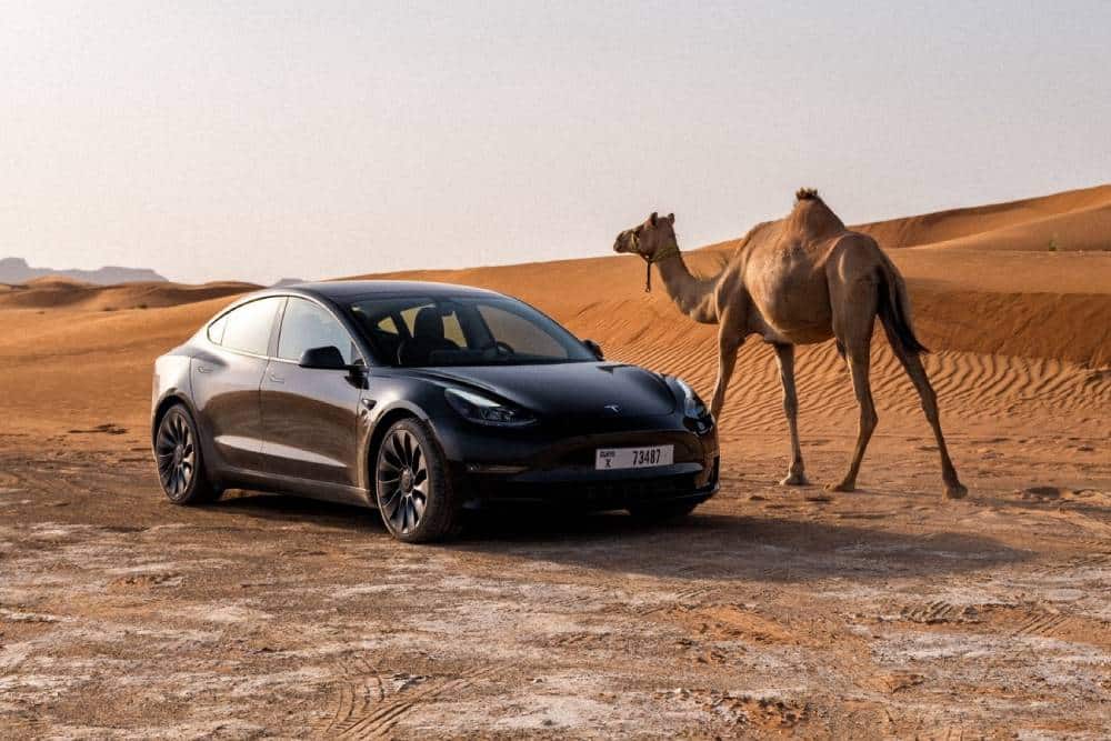 https://autogreeknews.gr/wp-content/uploads/2022/09/tesla-shares-pictures-of-extreme-heat-and-durabili-1.jpg