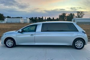 Νεκροφόρες-(10)