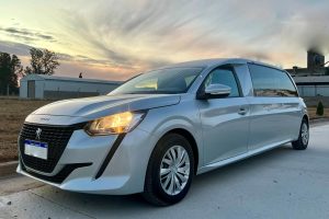 Νεκροφόρες-(11)