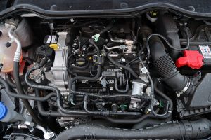 Ford Fiesta 1.0 125 ST Line Powershift 2022 (27)