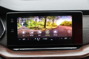 Skoda-Octavia-2.0-TDI-Scout-(30)