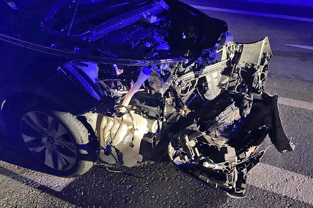 Τράκαρε με αγριογούρουνο ο Δήμαρχος Σπάρτης