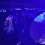 crash-agriogourouno-(3)