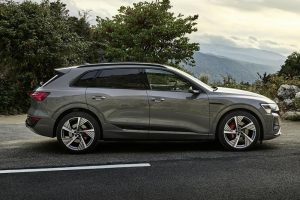 Audi-Q8-e-tron-(3)
