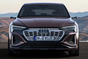 Audi-Q8-e-tron-(7a)