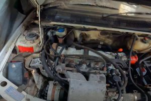 abandoned-peugeot-205-gti-sleeping-under-a-tarp-be (3)