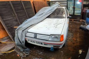 abandoned-peugeot-205-gti-sleeping-under-a-tarp-be