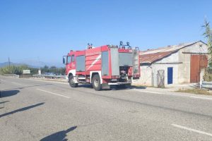 agrinio trakarisma fternisma 02